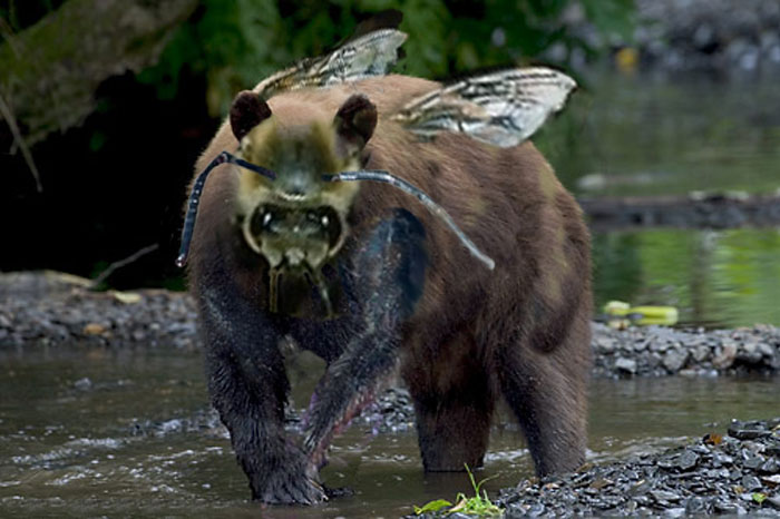 Photoshop Design by Ivor121 for DesignCrowd (Community Contests) | Design #9081859