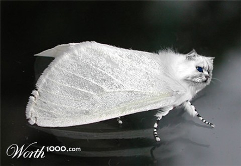 Photoshop Design by HeatherB