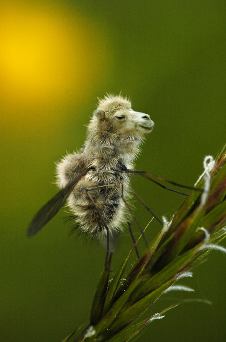 Photoshop Design by 123lezy for DesignCrowd (Community Contests) | Design #9081999