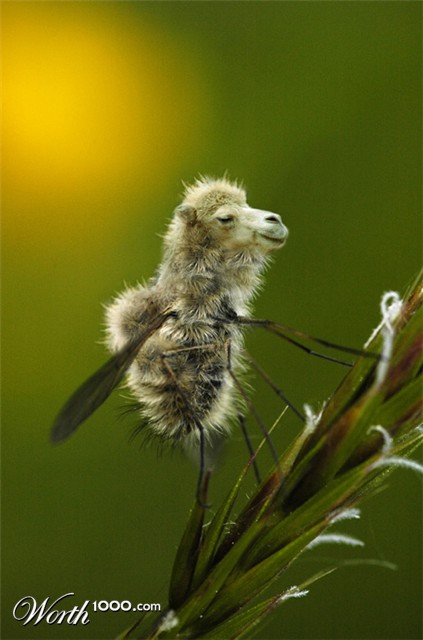 Photoshop Design by 123lezy