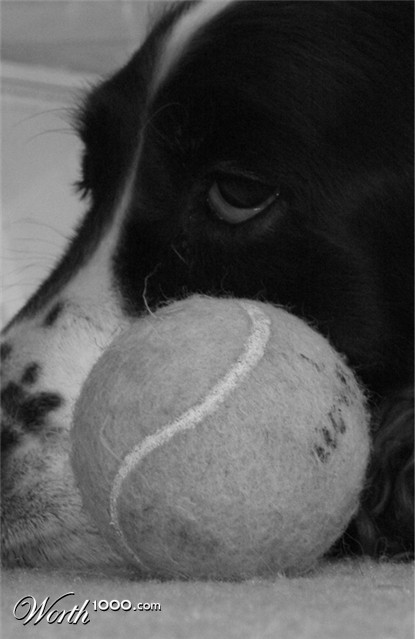 Photography by Megadoomer