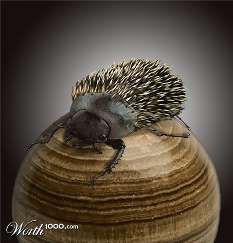 Photoshop Design by jlskelly