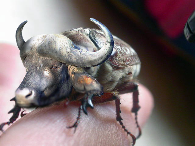 Photoshop-Design von ewarning für DesignCrowd (Community Contests) | Design #9081966