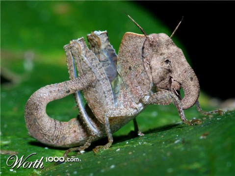 Photoshop Design by LevitateMe