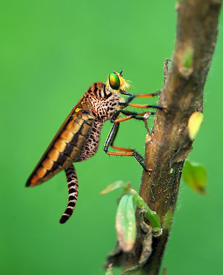 Photoshop Design by duragg for DesignCrowd (Community Contests) | Design #9081953