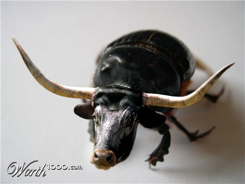 Photoshop Design by mattedesa