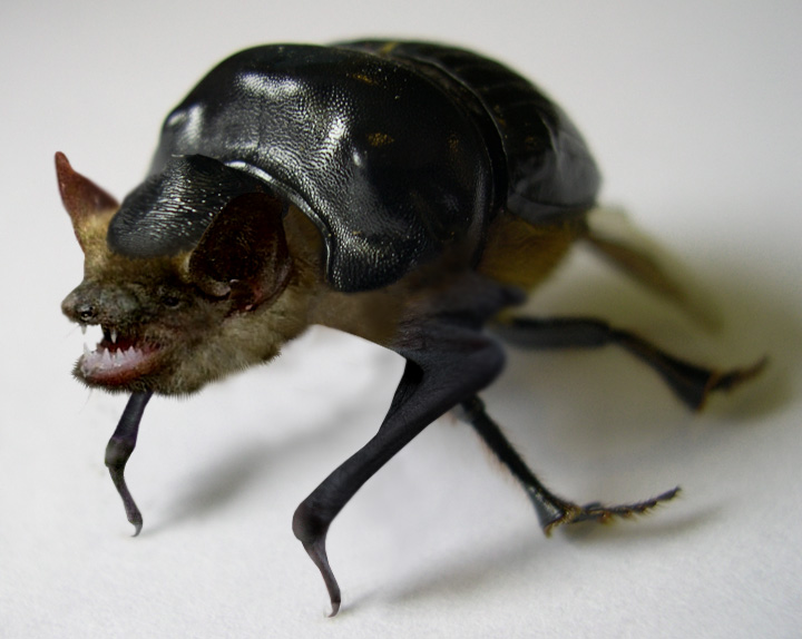 Photoshop Design by IceDesign for DesignCrowd (Community Contests) | Design #9081973