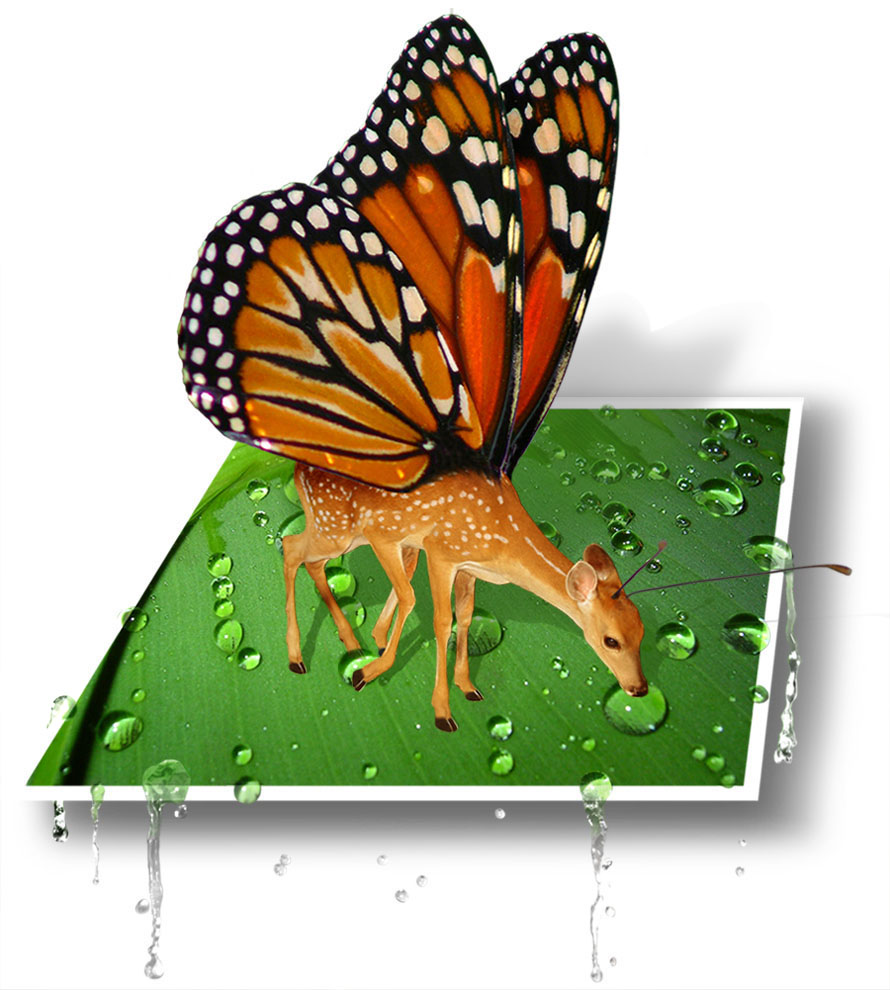 Photoshop Design by Chiboo for DesignCrowd (Community Contests) | Design #9081977