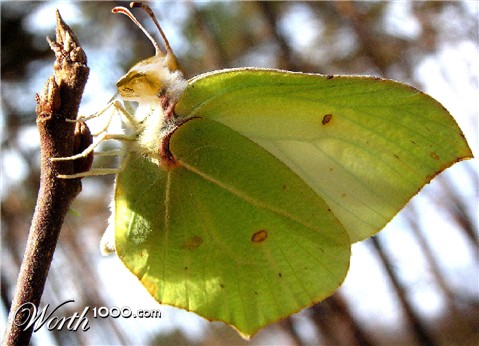 Photoshop Design by bif248