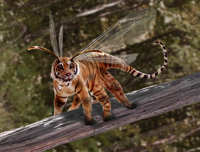 Photoshop Design by Mental-Rectangle for DesignCrowd (Community Contests) | Design #9081948