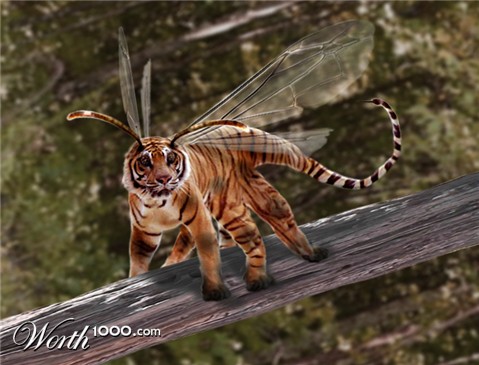 Photoshop Design by Mental-Rectangle