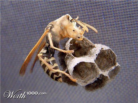 Photoshop Design by foreheadvcr