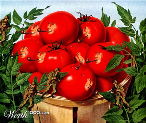Photoshop Design by havelock