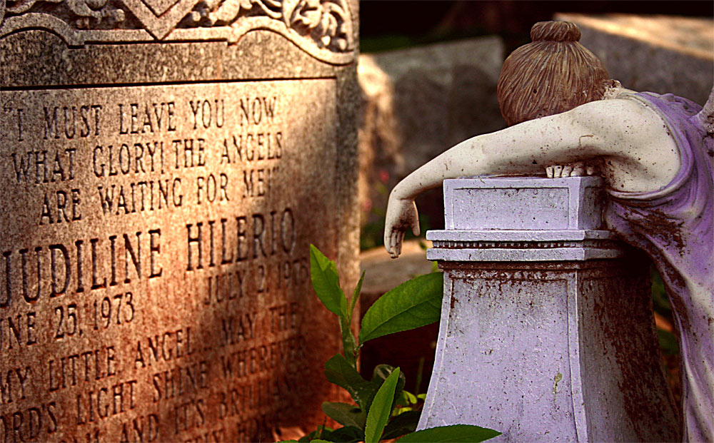 Photography by dollyllama for DesignCrowd (Community Contests) | Design #9083835