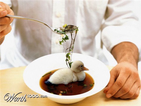 Photoshop Design by SASSMAN