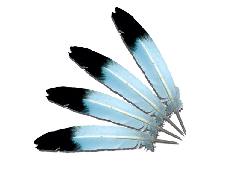 Design Photoshop par HeatherB pour DesignCrowd (Community Contests) | Design #9083876