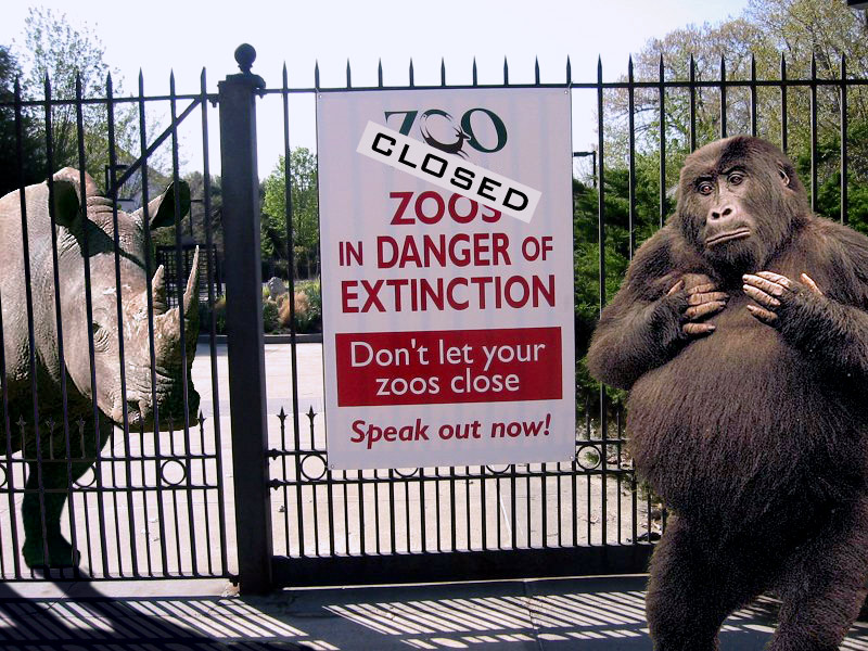 Photoshop Design by ozplasmic for DesignCrowd (Community Contests) | Design #9079983