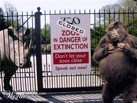 Photoshop Design by ozplasmic