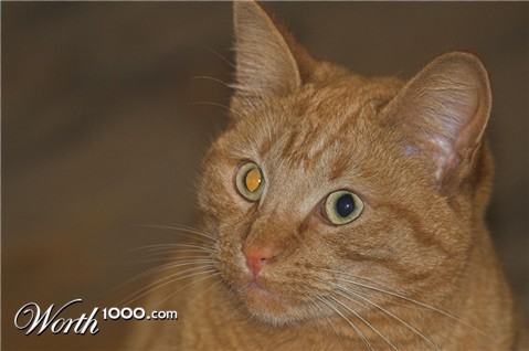 Photoshop Design by steveNewby