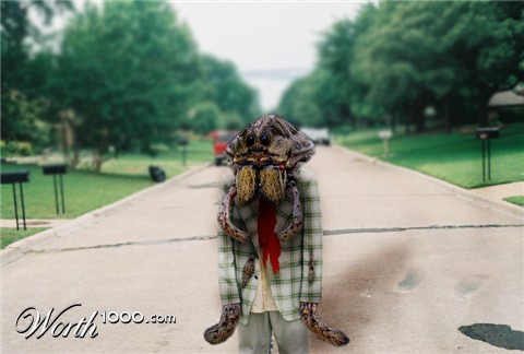 Photoshop Design by dirtybert
