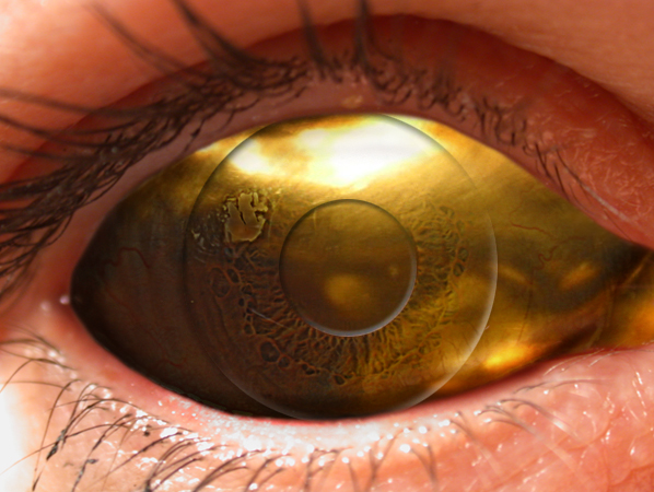 Photoshop Design by fromthemill for DesignCrowd (Community Contests) | Design #9083953