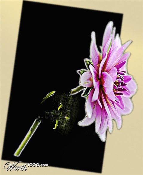 Photoshop Design by cedric10
