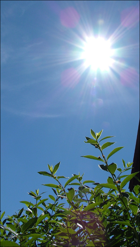 Photography by zensoul for DesignCrowd (Community Contests) | Design #9079286