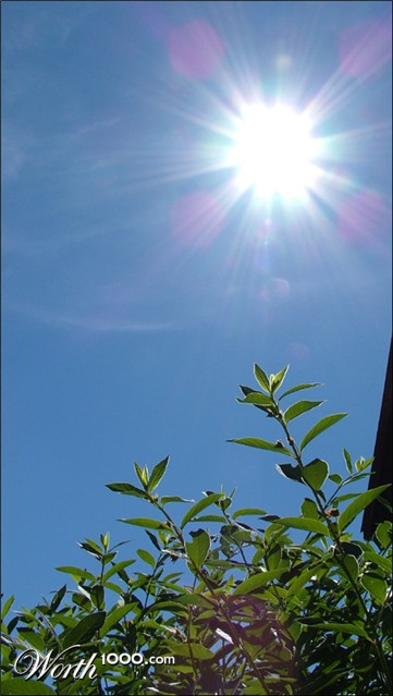 Photography by zensoul