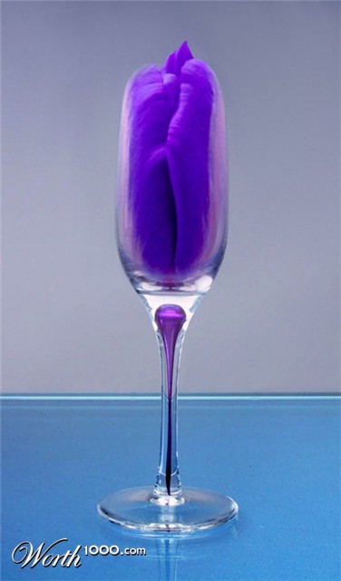 Photoshop Design by Ziaphra