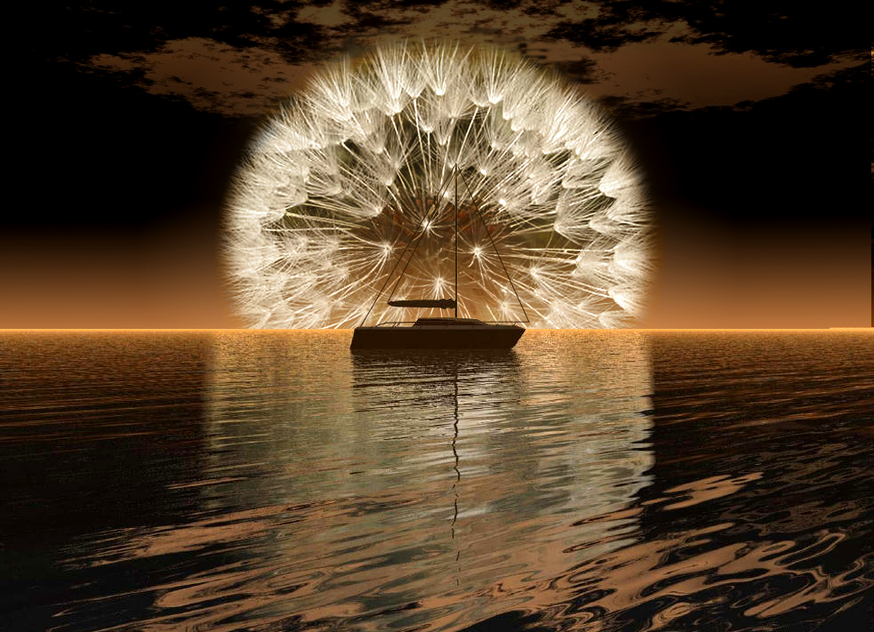 Photoshop Design by corwin1 for DesignCrowd (Community Contests) | Design #9079473