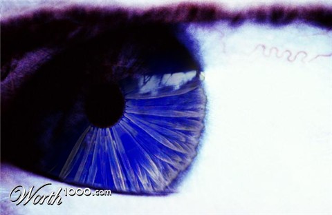 Photoshop Design by myillusions