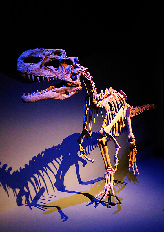 Photography by SigloV for DesignCrowd (Community Contests) | Design #9079313