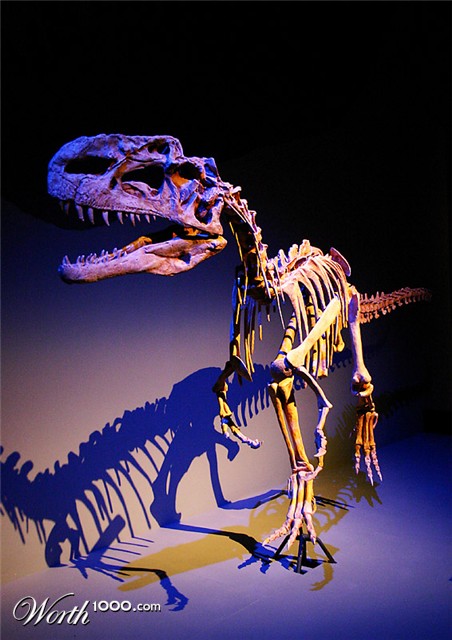 Photography by SigloV