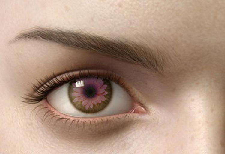 Photoshop Design by Ron Miller for DesignCrowd (Community Contests) | Design #9079518