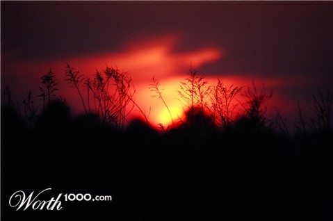Photography by charismaglo