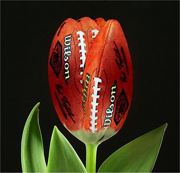 Diseño de Photoshop por Koosricardo para DesignCrowd (Community Contests) | Diseño #9079669