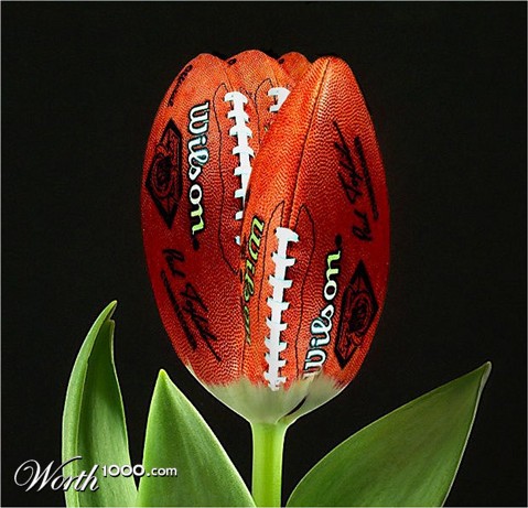 Photoshop Design by Koosricardo