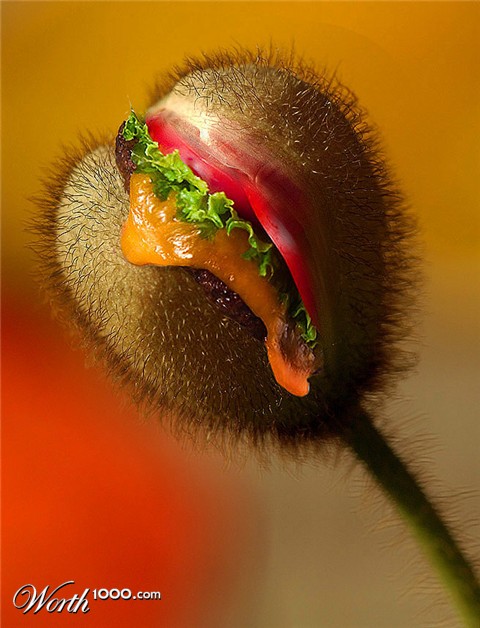 Photoshop Design by chris_