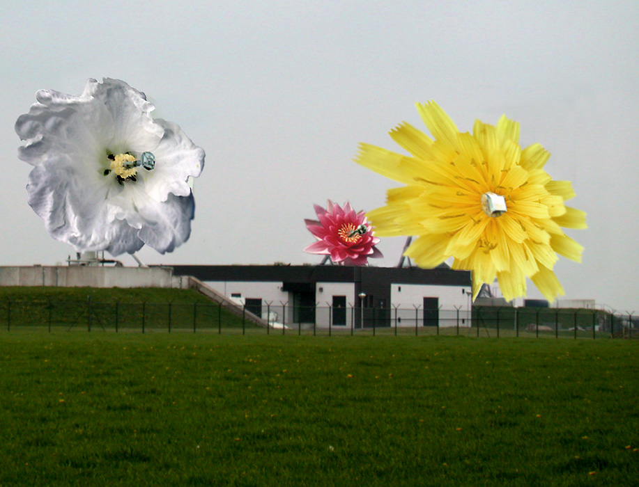 Diseño de Photoshop por Shadowalker para DesignCrowd (Community Contests) | Diseño #9079709