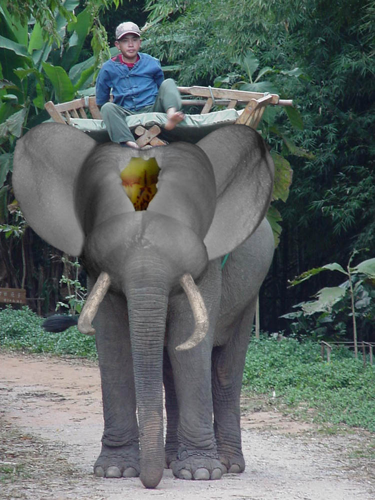 Diseño de Photoshop por godzillatemple para DesignCrowd (Community Contests) | Diseño #9079587