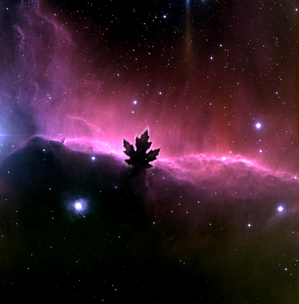 Diseño de Photoshop por liquidself para DesignCrowd (Community Contests) | Diseño #9081372