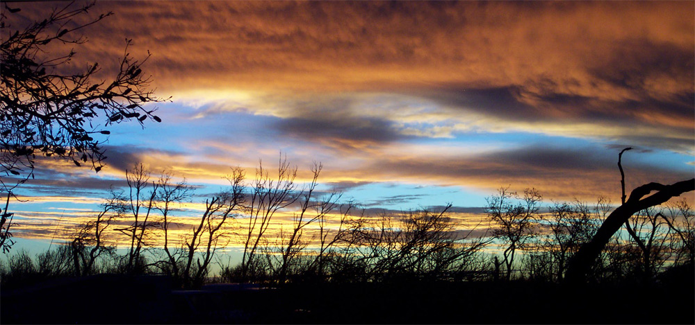 Photography by ozplasmic for DesignCrowd (Community Contests) | Design #9076866