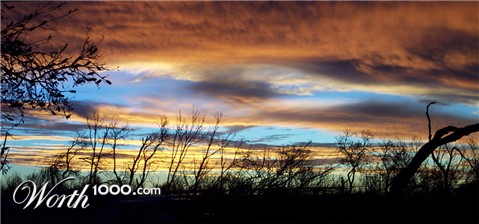 Photography by ozplasmic