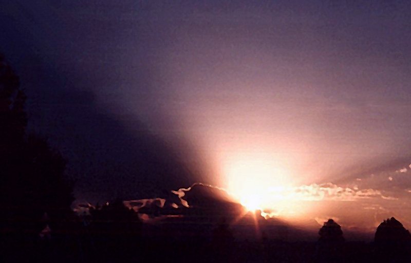 Photography by ShooterSue for DesignCrowd (Community Contests) | Design #9076885