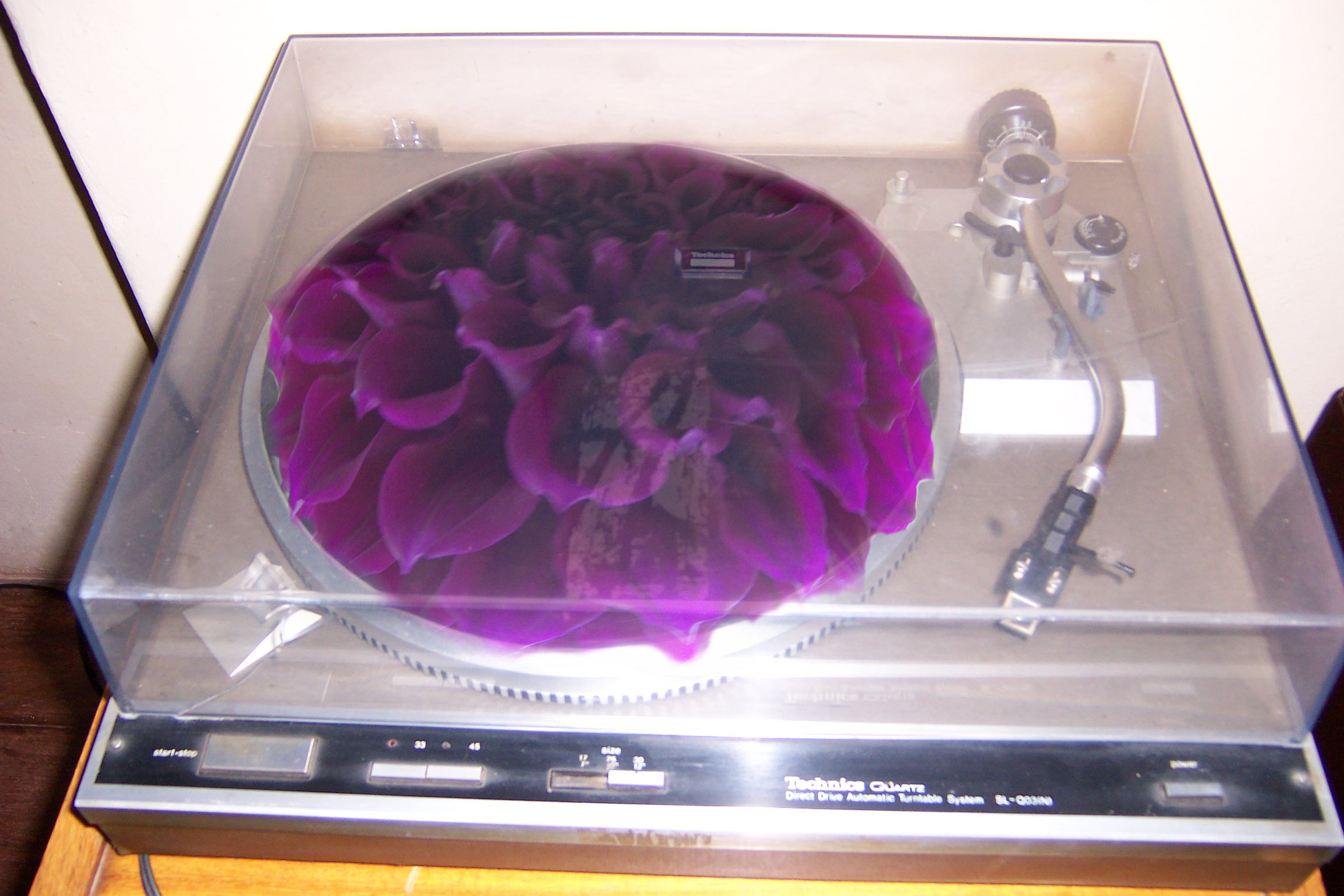 Photoshop Design by yavannilde for DesignCrowd (Community Contests) | Design #9079652