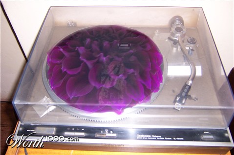 Photoshop Design by yavannilde