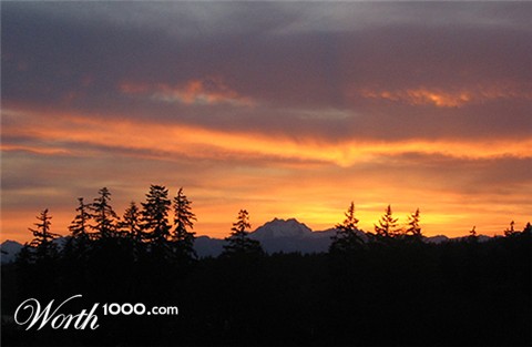 Photography by Ron Miller