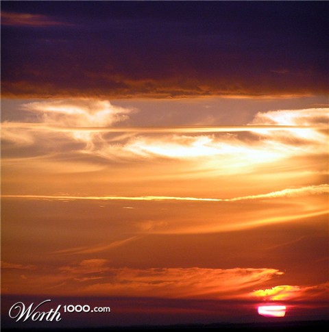 Photography by virtualstrauss