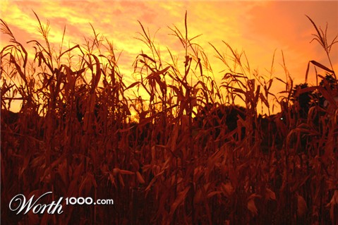 Photography by Johnny5