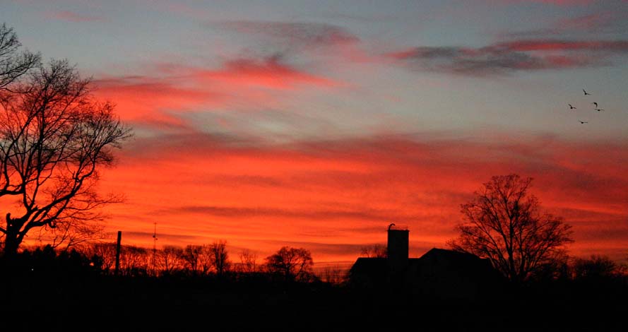 Photography by rdchdwck for DesignCrowd (Community Contests) | Design #9076918